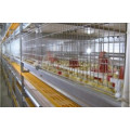 Sistema de jaulas para pollos para avicultura.